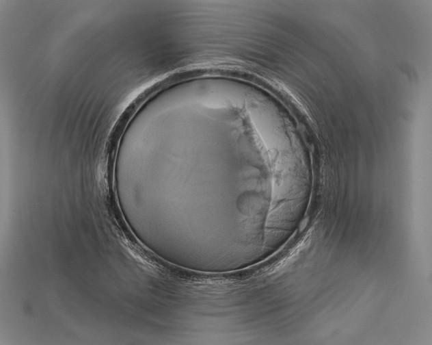 X0000115170830200911121737