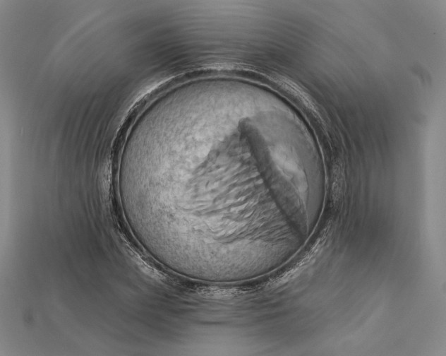 X0000115170831200911121737