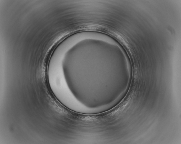 X0000115170835200911121738