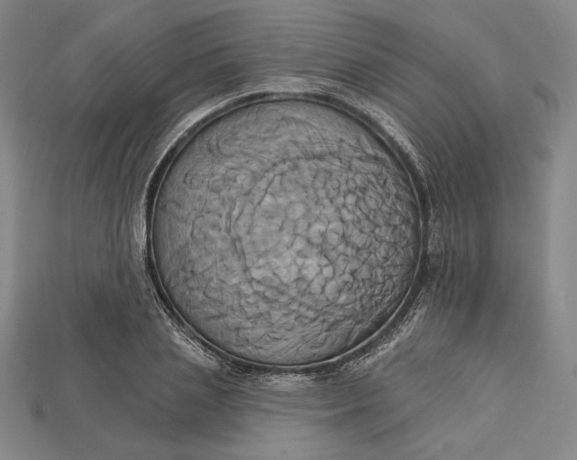 X0000115170837200911121738