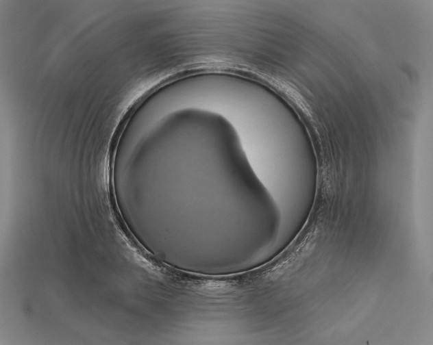 X0000115170839200911121738