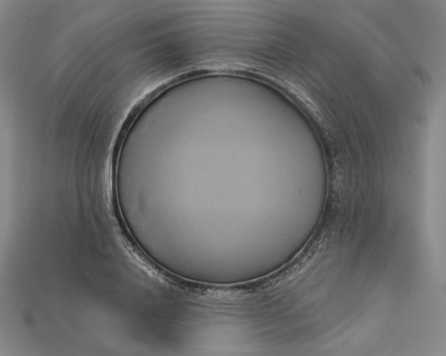 X0000115170840200911121738