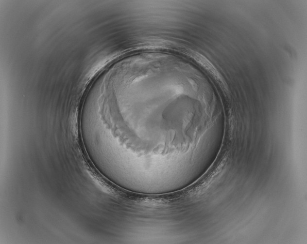 X0000115170842200911121738