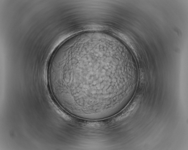 X0000115170843200911121738