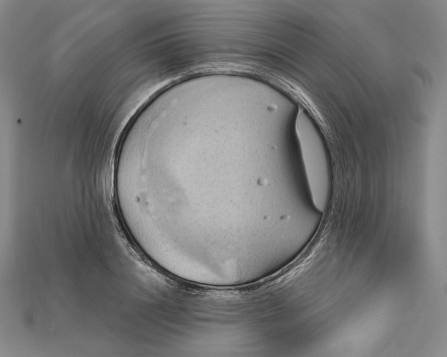X0000115170844200911121738