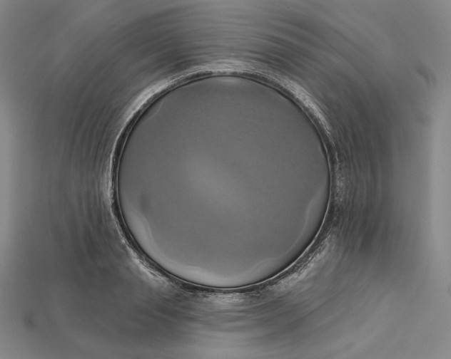 X0000115170845200911121738