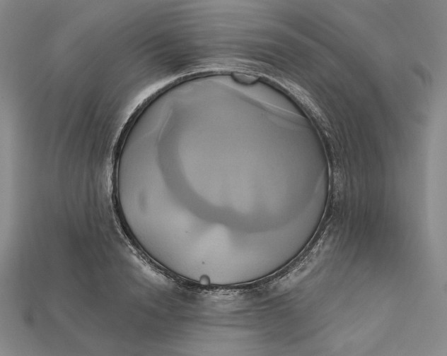 X0000115170846200911121738
