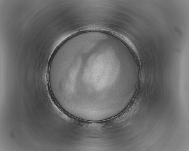 X0000115170847200911121738