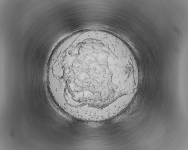 X0000115170848200911121738