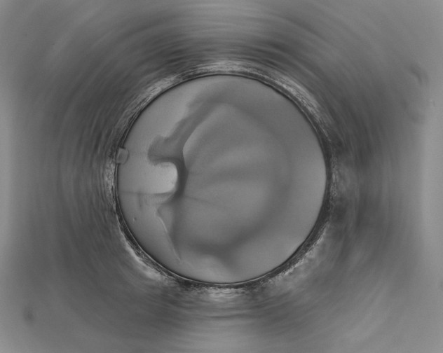 X0000115170849200911121738
