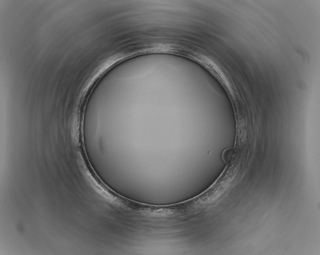 X0000115170851200911121738