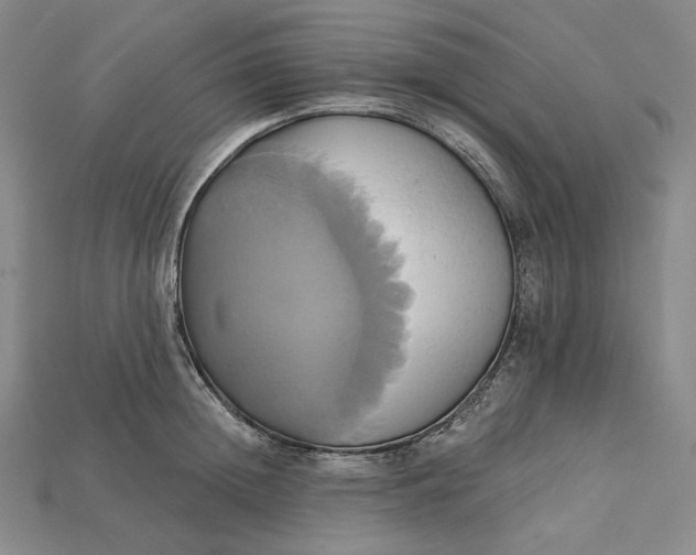 X0000115170852200911121738