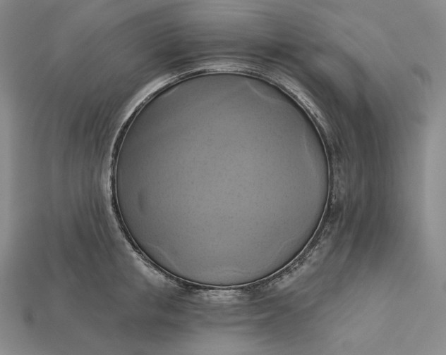 X0000115170853200911121738