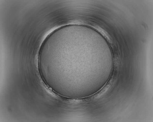 X0000115170854200911121738