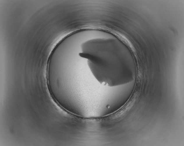 X0000115170855200911121738