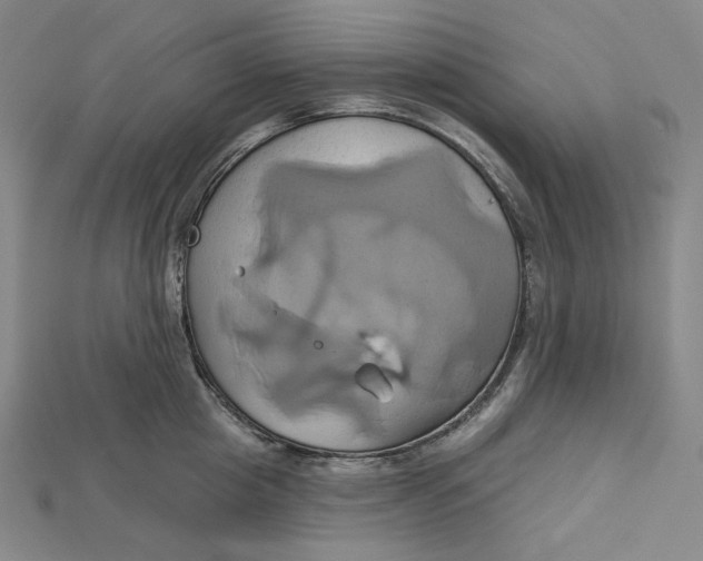 X0000115170857200911121738
