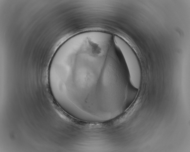 X0000115170858200911121738