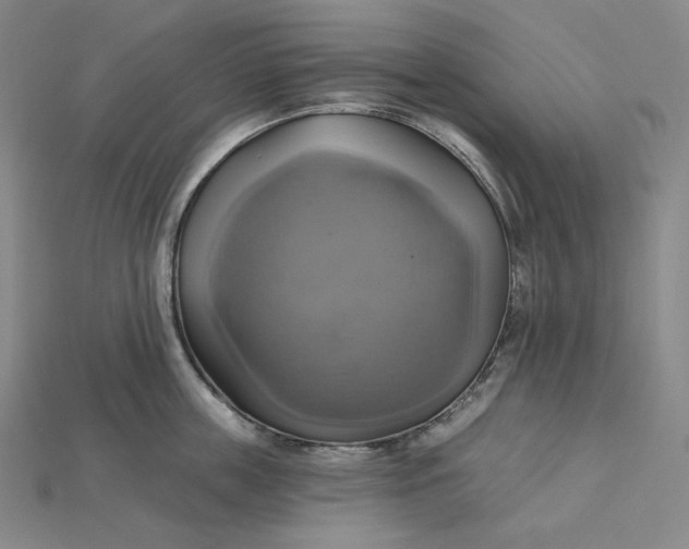 X0000115170859200911121738