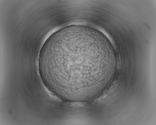 X0000115170861200911121738