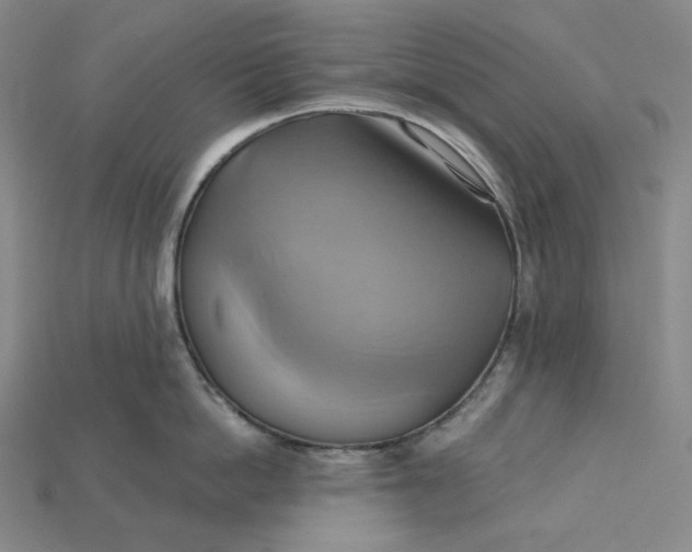 X0000115170862200911121738