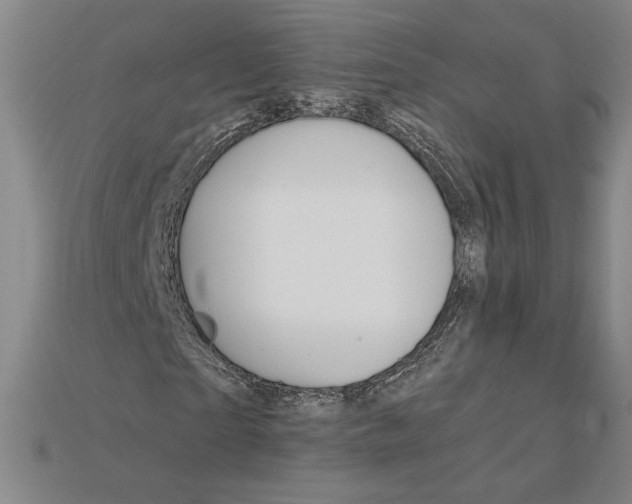 X0000115170865200911121737