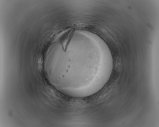 X0000115170866200911121737
