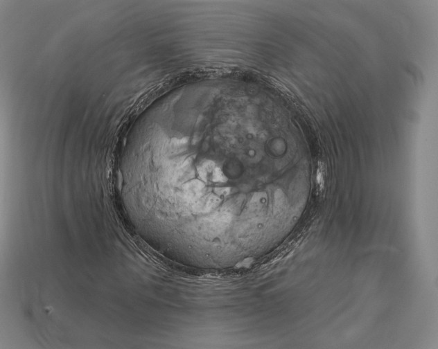 X0000115170867200911121737