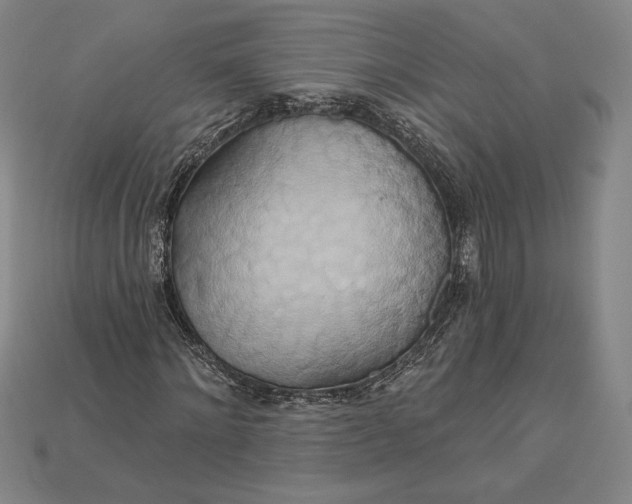 X0000115170868200911121737