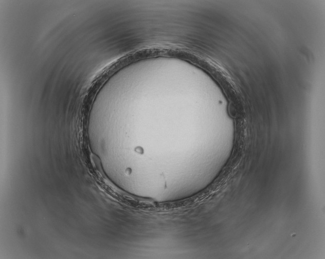X0000115170872200911121737