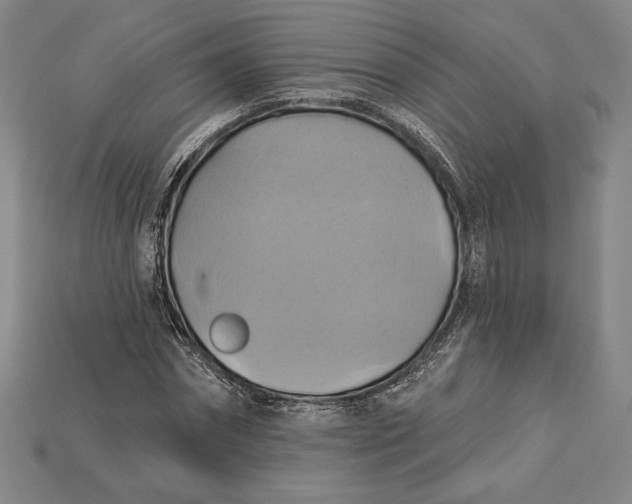 X0000115170874200911121737