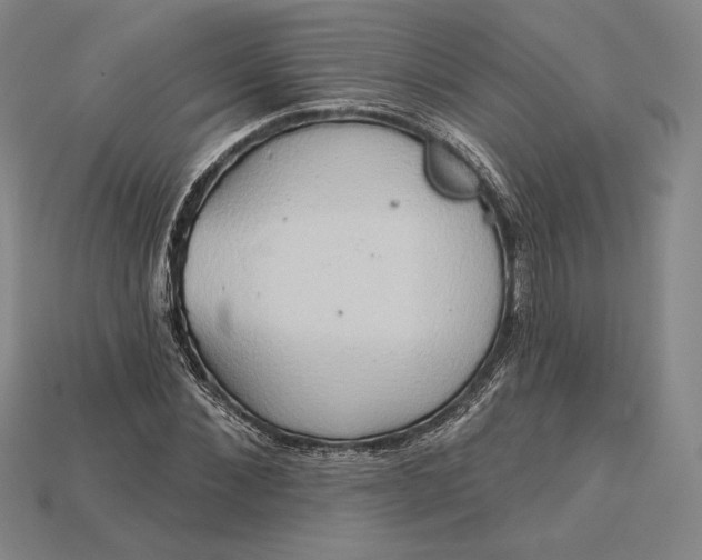X0000115170876200911121737