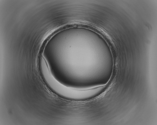 X0000115170877200911121737