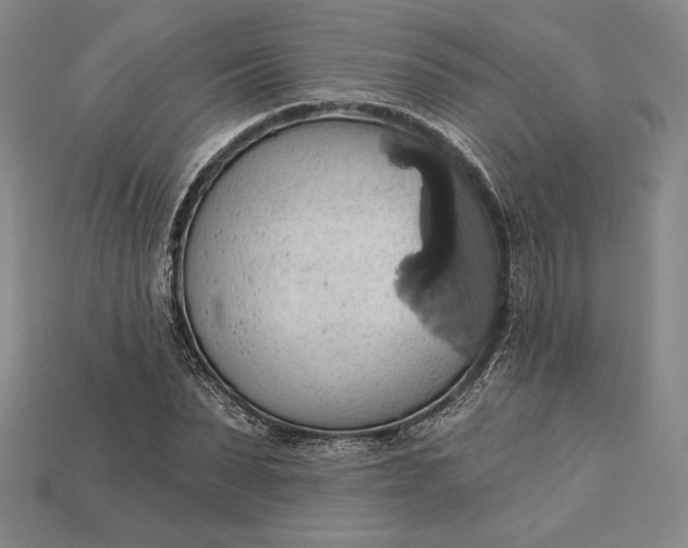 X0000115170879200911121737