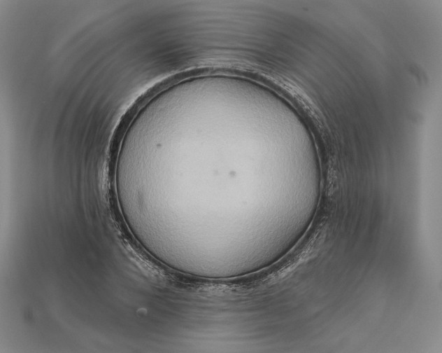X0000115170880200911121737