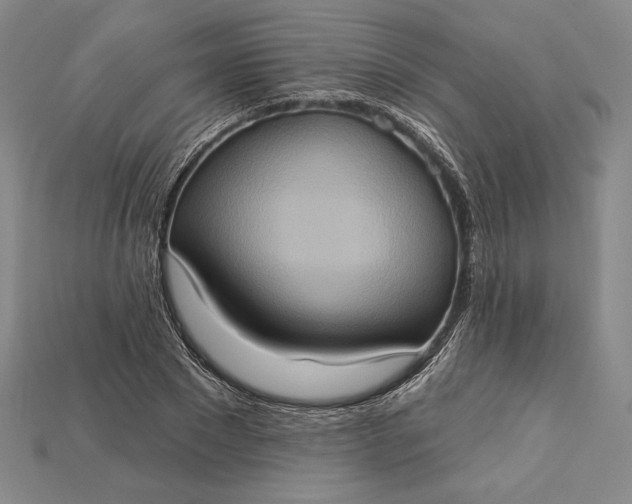 X0000115170881200911121737
