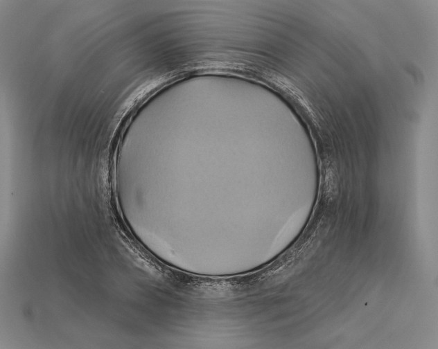 X0000115170882200911121737