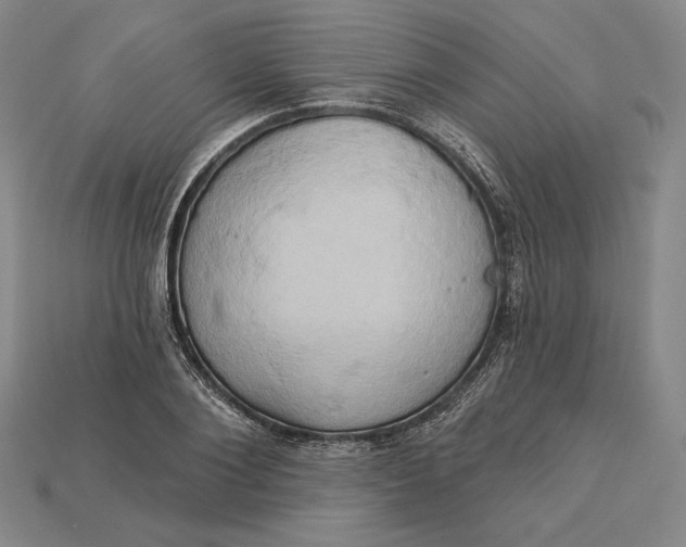 X0000115170884200911121737