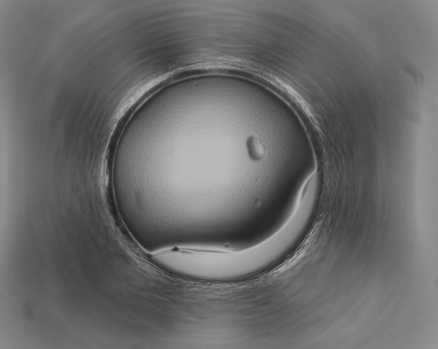 X0000115170885200911121737