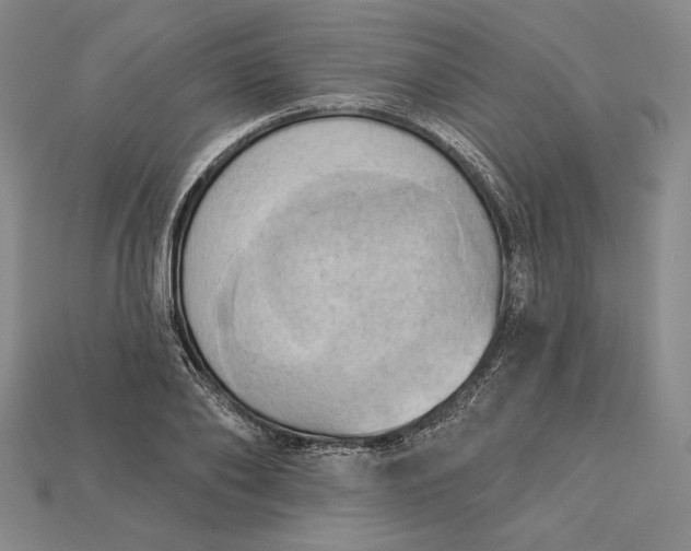 X0000115170886200911121737