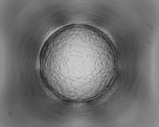 X0000115170887200911121737