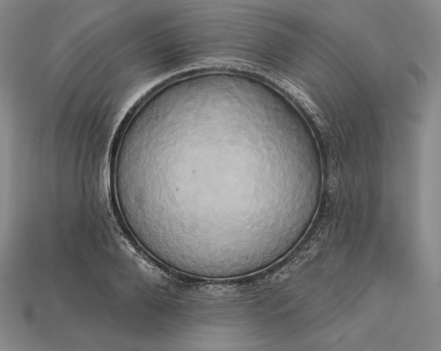 X0000115170888200911121737