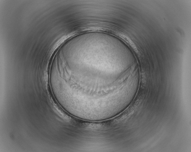 X0000115170890200911121737