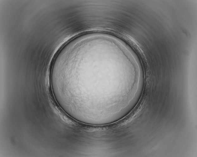 X0000115170892200911121737