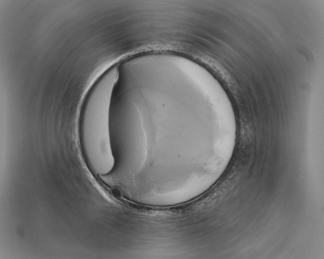 X0000115170894200911121737