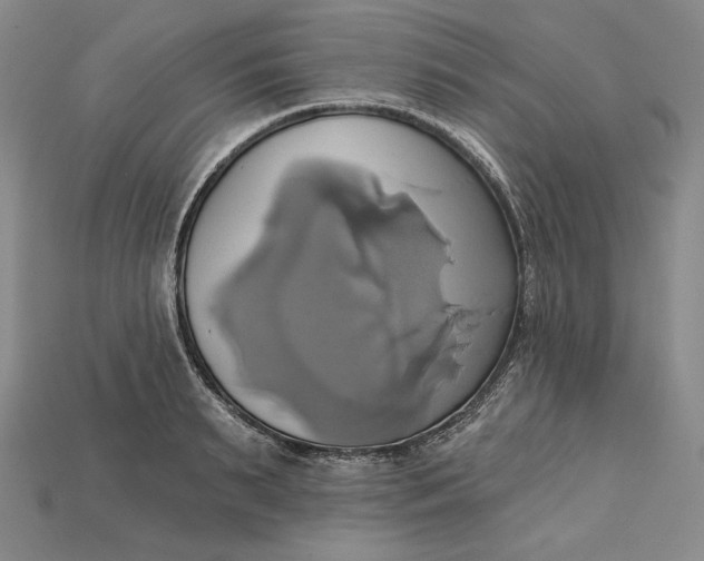 X0000115170895200911121737