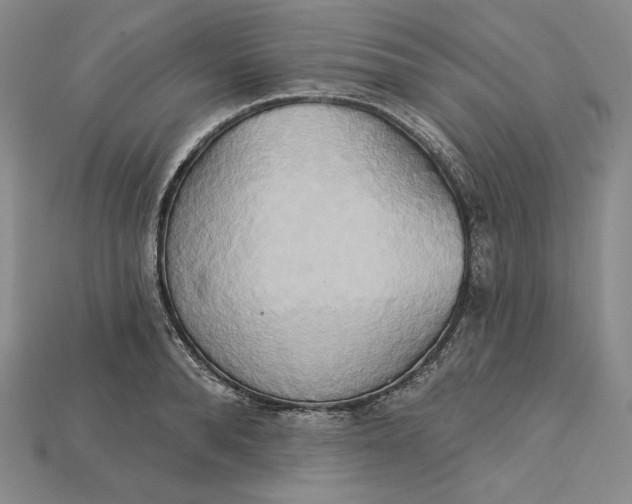 X0000115170896200911121737