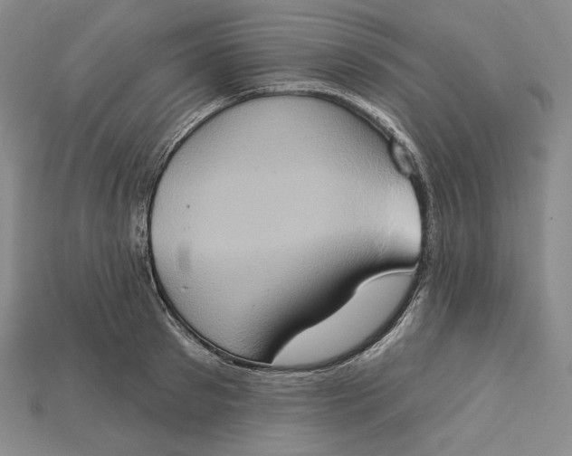 X0000115170897200911121737