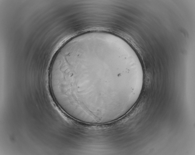 X0000115170898200911121737