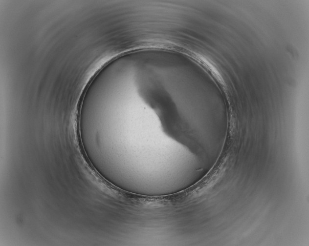X0000115170899200911121737