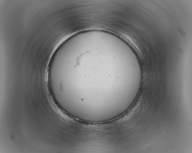 X0000115170900200911121737